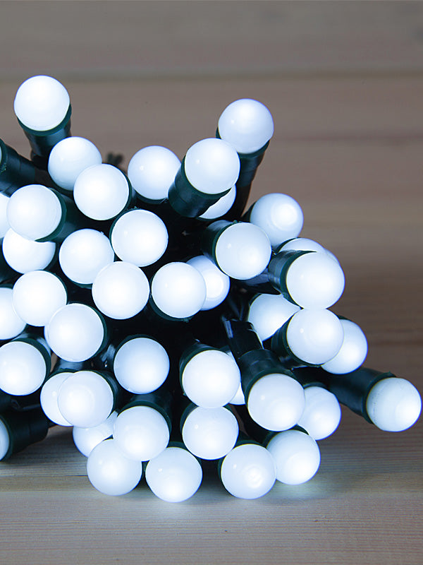 50 LED Battery Operated Berry Lights - White 