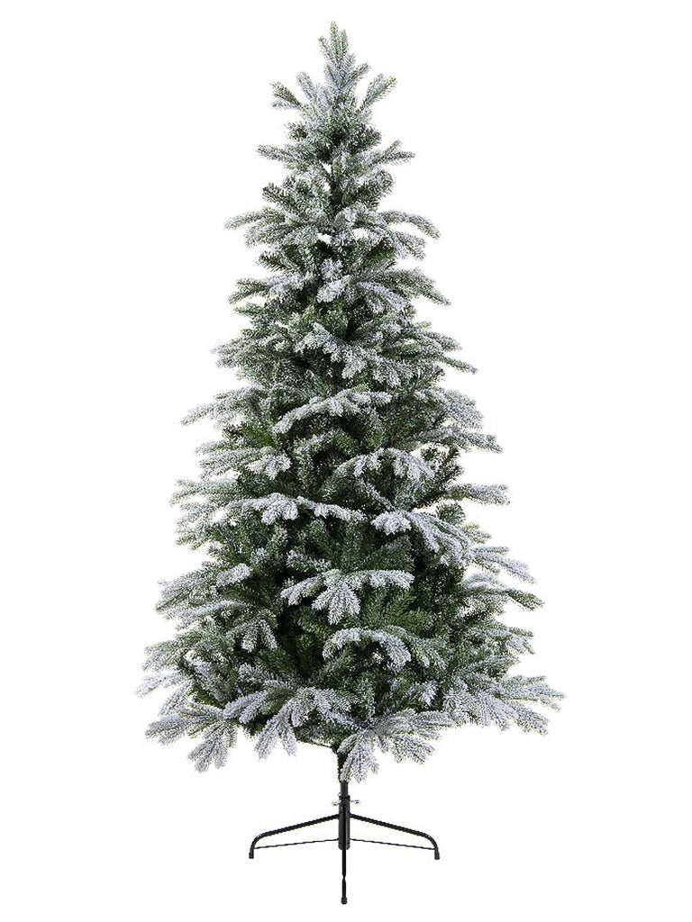 2.1M (7ft) Sunndal Fir Frosted Tree