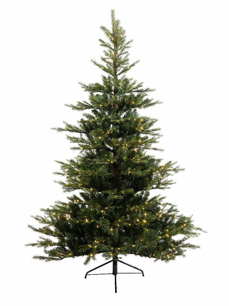 2.1M (7ft) Pre-lit Grandis Fir Tree with 550 Micro LEDs In Warm White