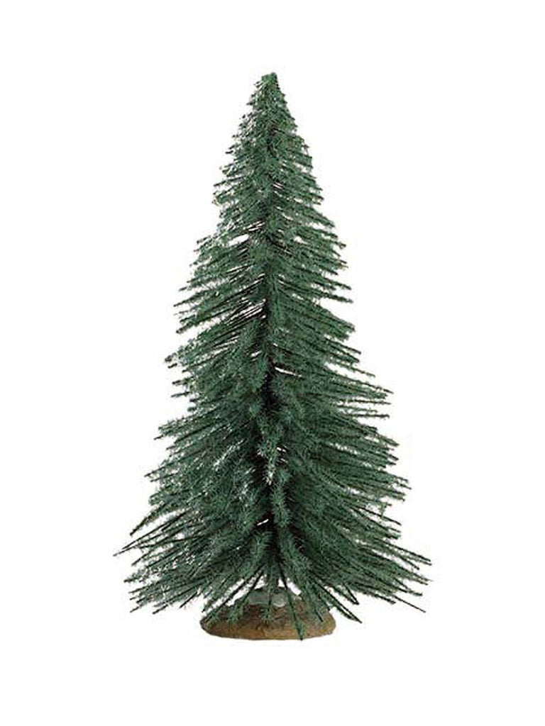Spruce Tree, Medium
