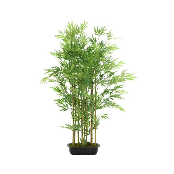 1.2M (4ft) Bamboo Tree in Pot