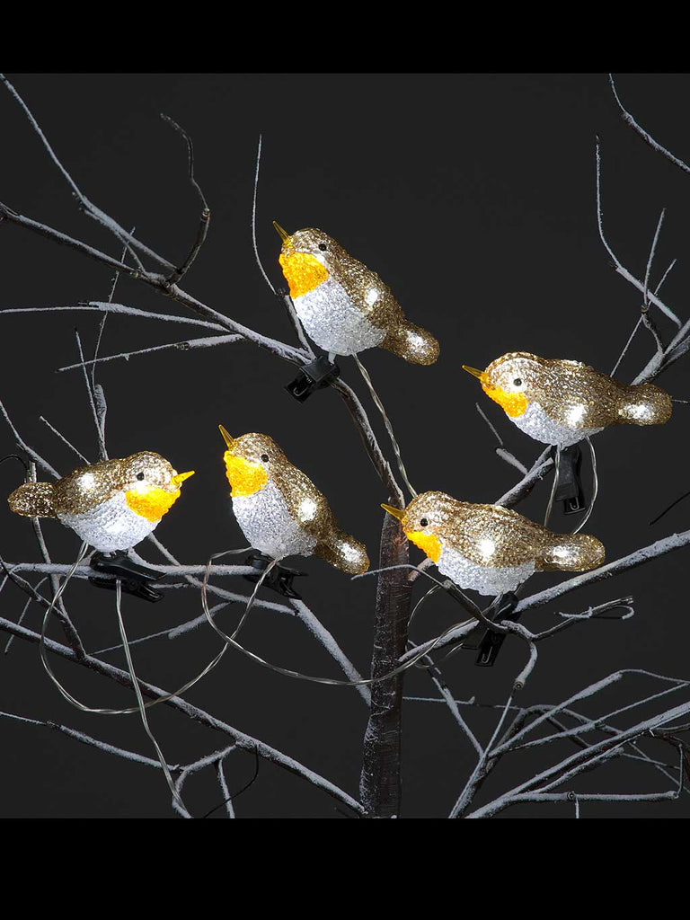 5 Acrylic Robin Lights with 30 Ice White LEDs/Clip-On