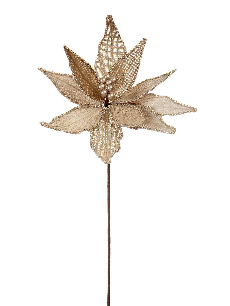 50cm Cream & Gold Poinsettia Stem With Glitter